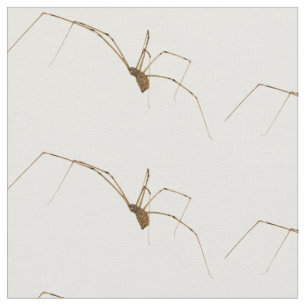 Tissu Araignée