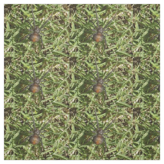 Tissu Araignée De Raideur Sur L'Herbe Verte, (Échantillon)