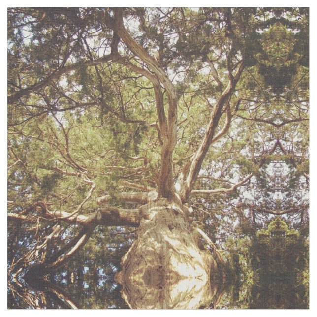 Tissu Arbre en miroir (Fermer)