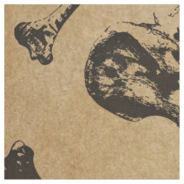 Tissu Archéologie de l'anatomie osseuse (Fermer)