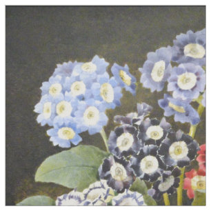 Tissu Art floral botanique vintage d'aquarelle de fleurs