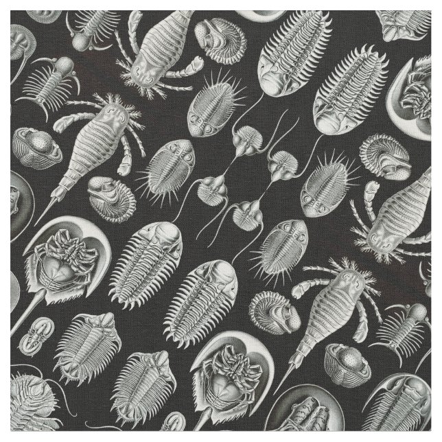 Tissu Aspidonia d'Ernst Haeckel (Fermer)