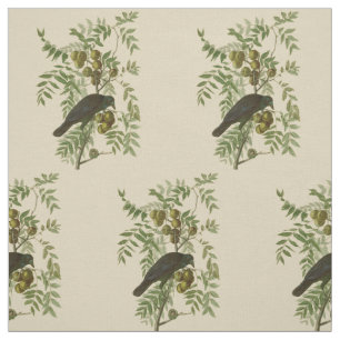 Tissu Audubon American Crow Black Bird