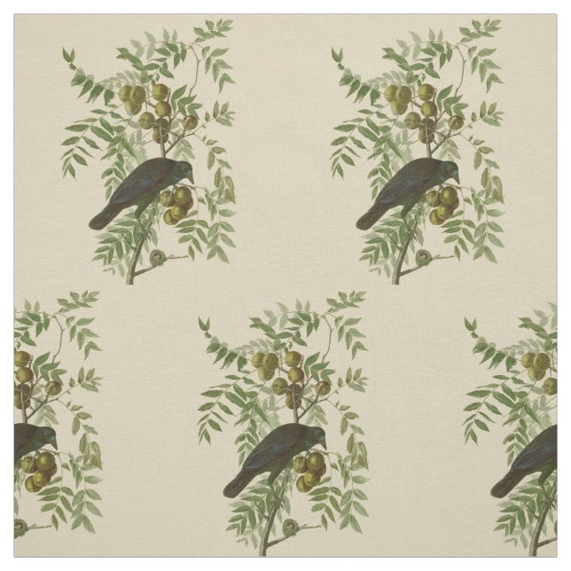 Tissu Audubon American Crow Black Bird (Échantillon)