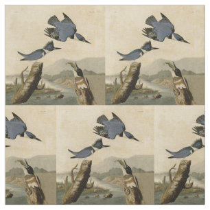Tissu Audubon Belted Kingfisher Wildlife Bird