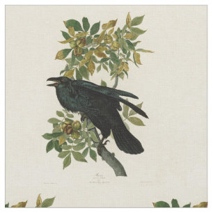 Tissu Audubon Raven Oiseau classique