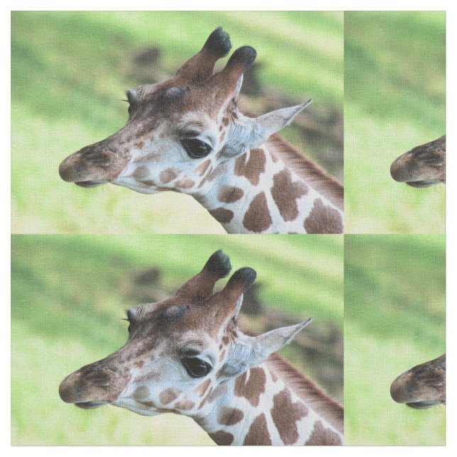 Tissu Baby girafe (Fermer)