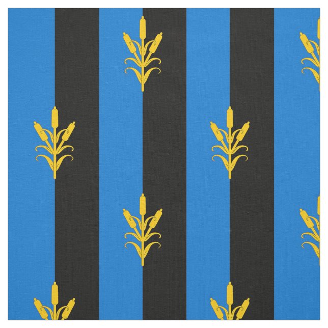 Tissu Badge de la population de la boîte de Saint-Sin SC (Échantillon)