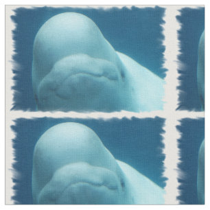 Tissu Baleine de beluga