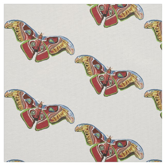 Tissu Beau papillon (Échantillon)