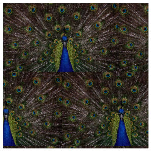 Tissu Beau Peacock