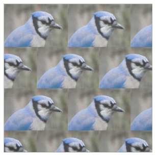 Tissu Beau plan rapproché de geai bleu