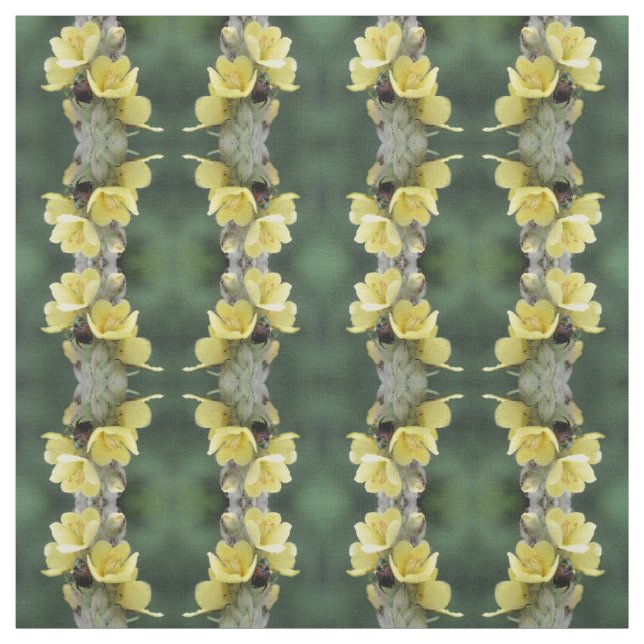 Tissu Beetle sur Fleur Mullein Sauvage (Échantillon)