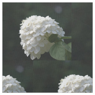 Tissu Belle Hydrangea Florale de Lime Blanc