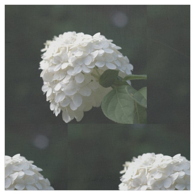 Tissu Belle Hydrangea Florale de Lime Blanc (Échantillon)