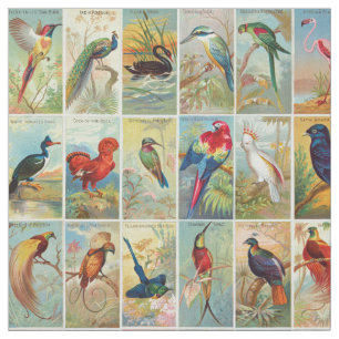 Tissu Belle illustration tropicale de 19ème siècle