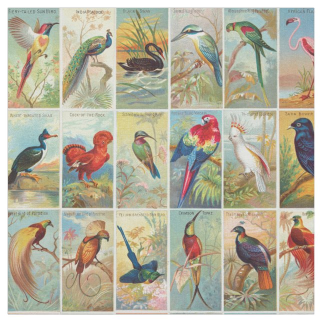 Tissu Belle illustration tropicale de 19ème siècle (Échantillon)