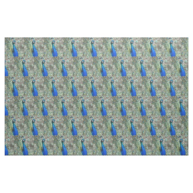 Tissu Belles plumes de paon bleu (Fat Quarter)