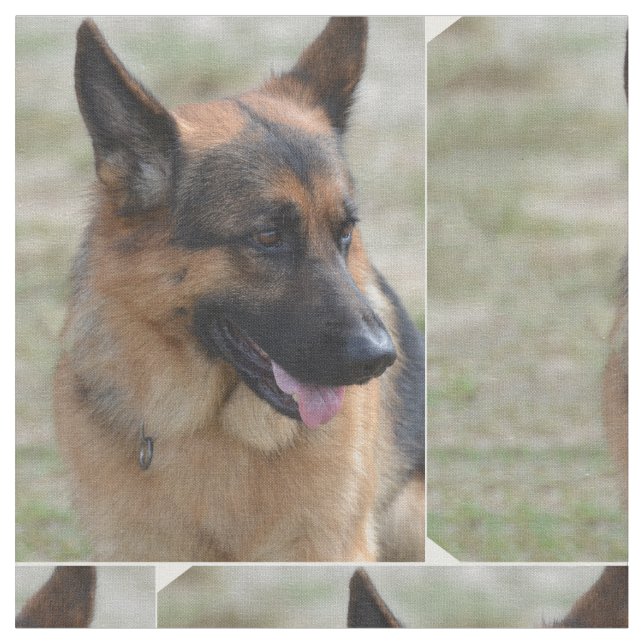 Tissu Berger allemand adorable (Fermer)