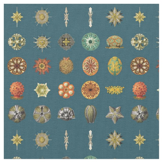 Tissu Bijoux de l'océan d'Ernst Haeckel (Fermer)