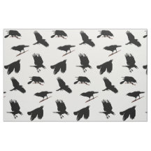 Black Bird ou Crow peut-être Raven