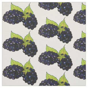 Tissu Blackberry Bush Summer Blackberry Berry Berry Berr