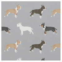 blaireau terrier chien blindée gris