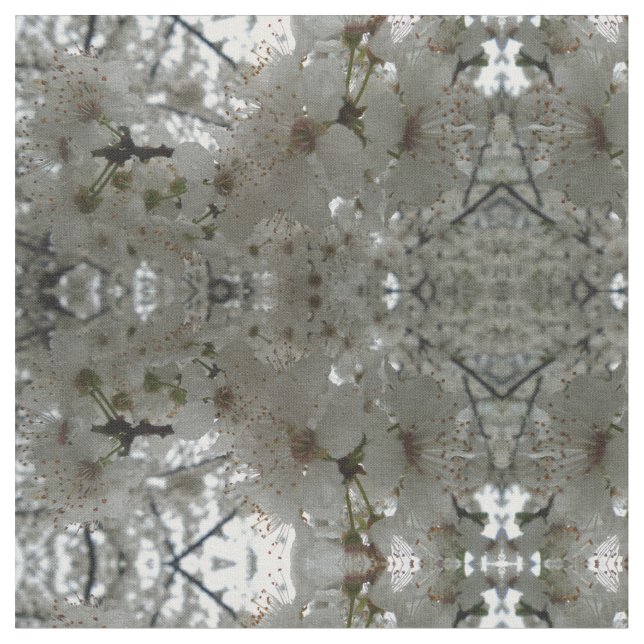 Tissu blanc de fleur de prune (Fermer)