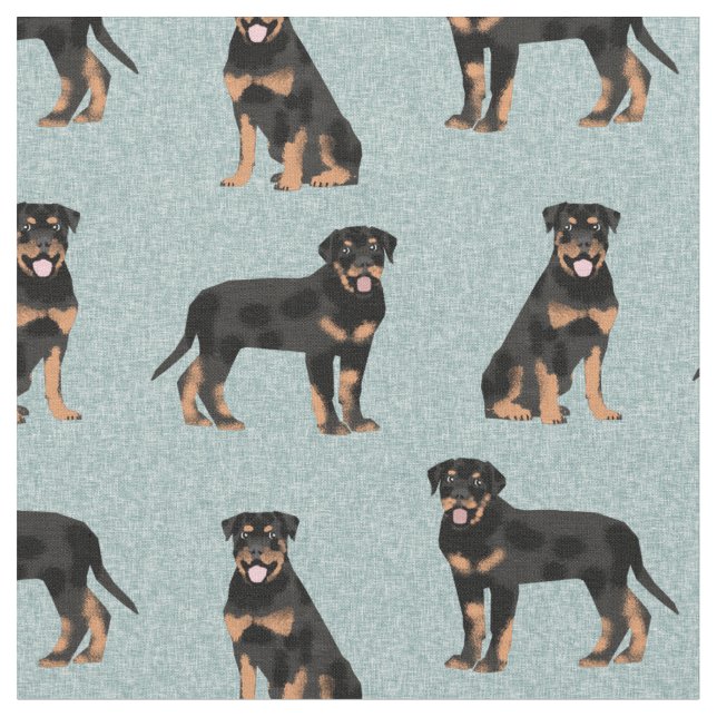 Tissu bleu clair de chien de rottweiler (Fermer)