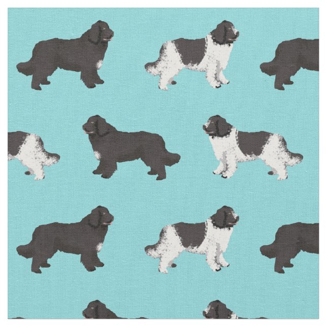 Tissu bleu clair pour le chien de terre-neuve (Fermer)
