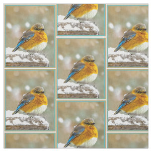 Tissu Bleuet de l'Est en neige - Photo originale