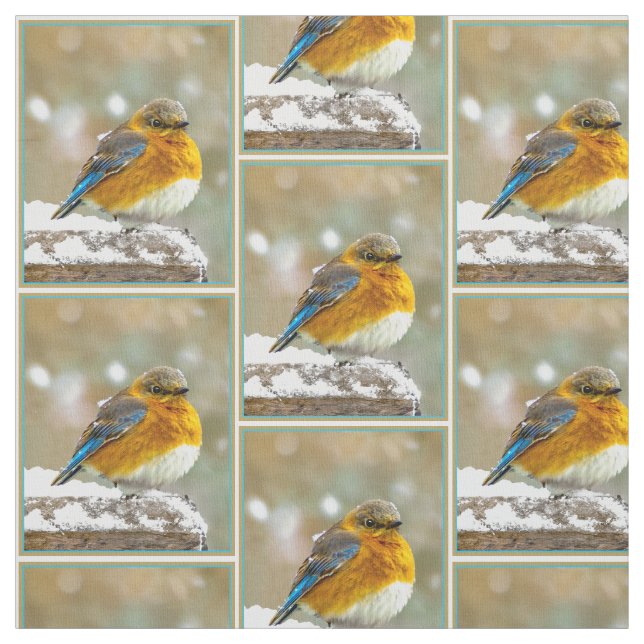 Tissu Bleuet de l'Est en neige - Photo originale (Échantillon)