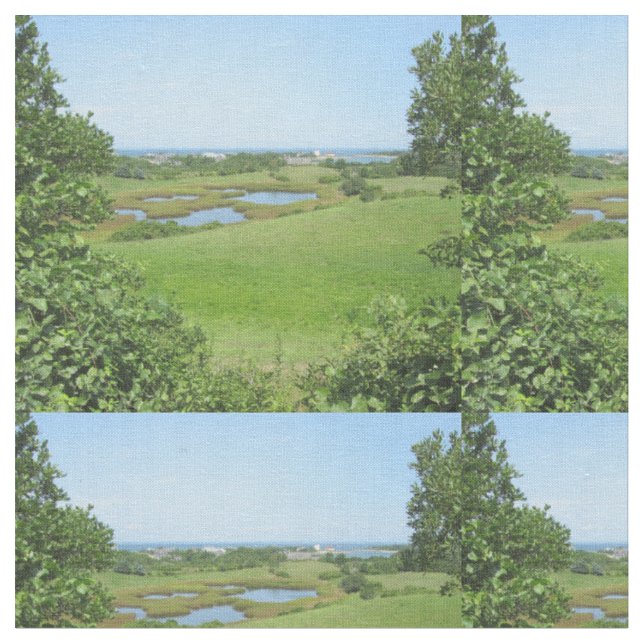 Tissu Block Island Champlin Road Meadow (Fermer)