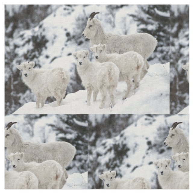 Tissu Bonne famille de moutons (Fermer)