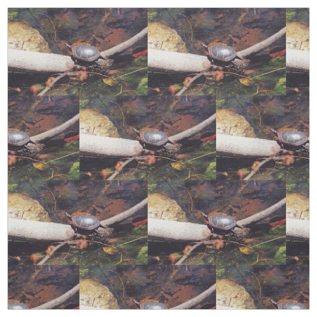 Tissu Bonne tortue (Échantillon)