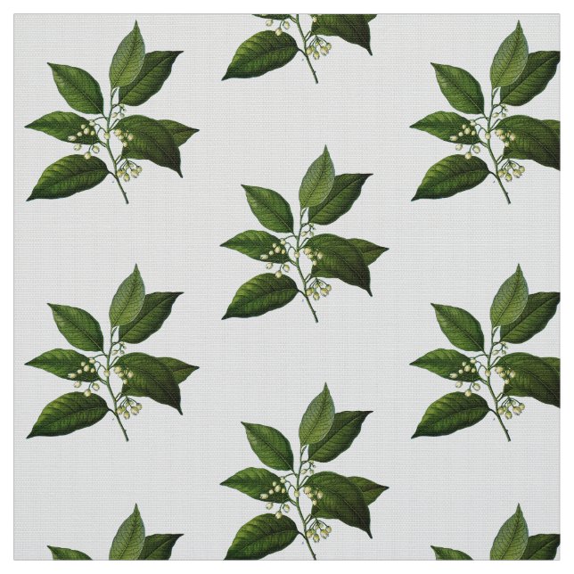 Tissu botanique vintage d'impression de feuillage (Échantillon)