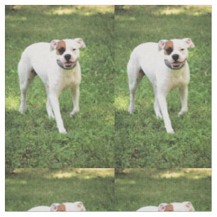 Tissu Boxer