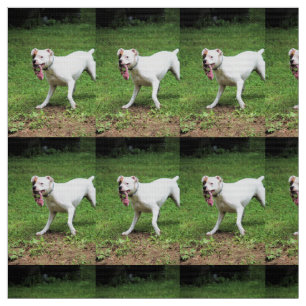 Tissu Boxer