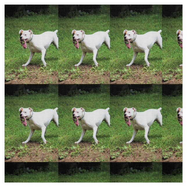 Tissu Boxer (Échantillon)