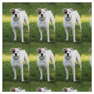 Tissu Boxer