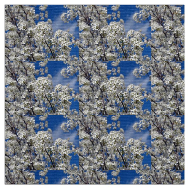 Tissu Bradford Pear Blooms (Échantillon)