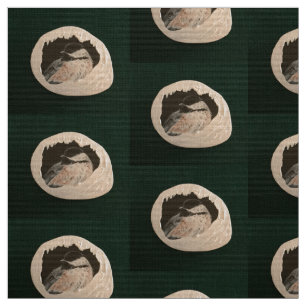 Tissu Brrr Chickadee