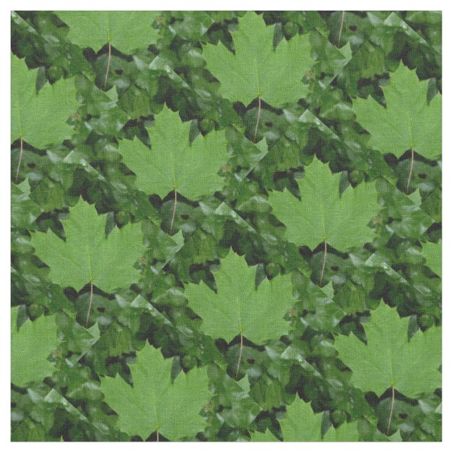 Tissu Canada Tissu Canada Feuille d'érable Tissu D (Fermer)