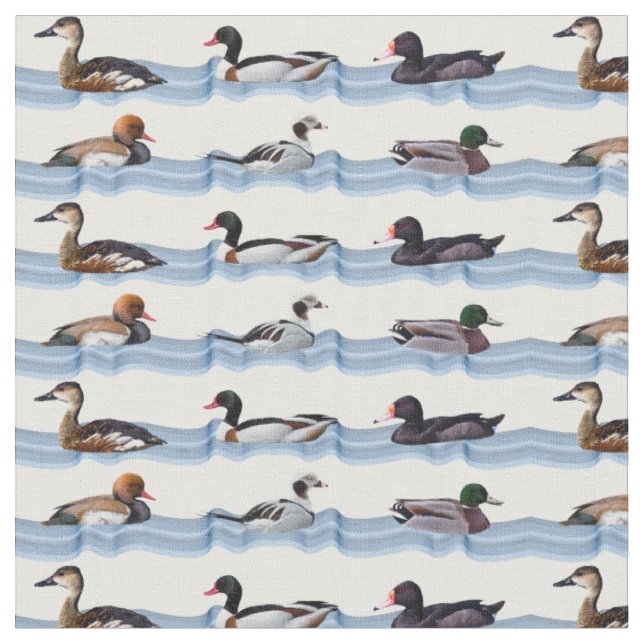 Tissu Canards Dandy (Fermer)