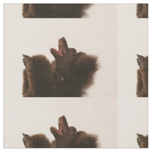 Tissu caniche noir dancing.png