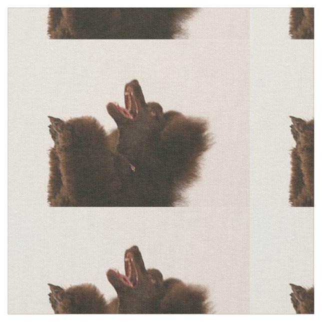 Tissu caniche noir dancing.png (Fermer)