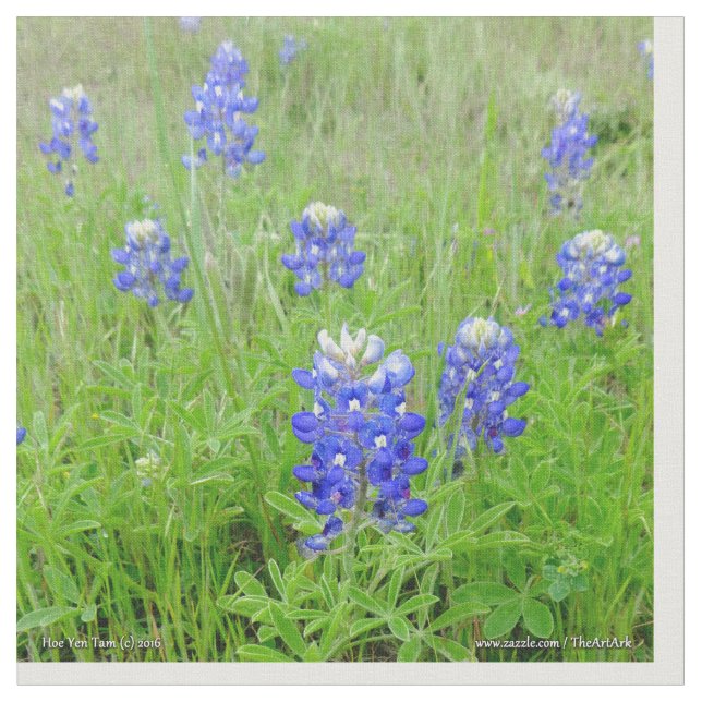 Tissu - capots bleus (Fermer)