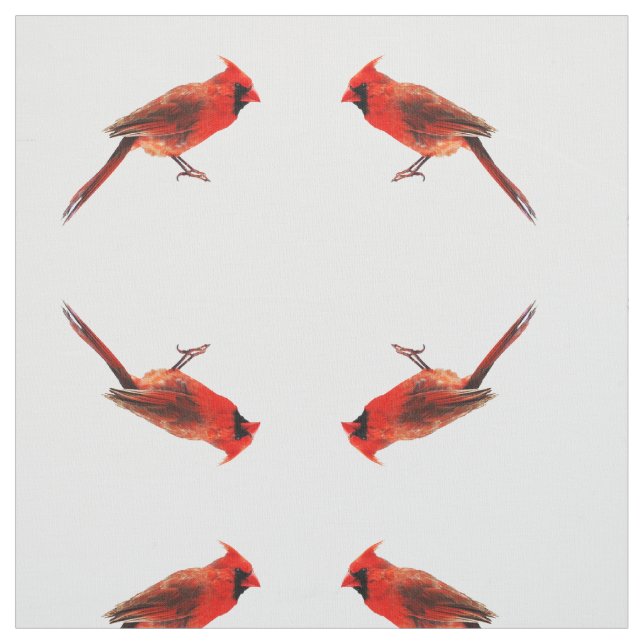 Tissu Cardinal(s) (Échantillon)