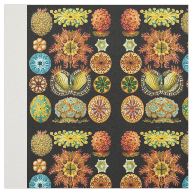 Tissu carte des créatures marines (Échantillon)