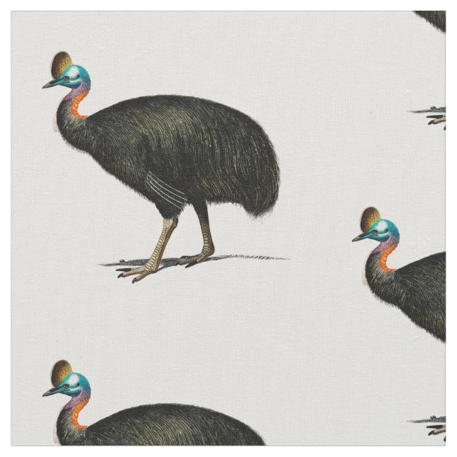 Tissu cassowary (Fermer)